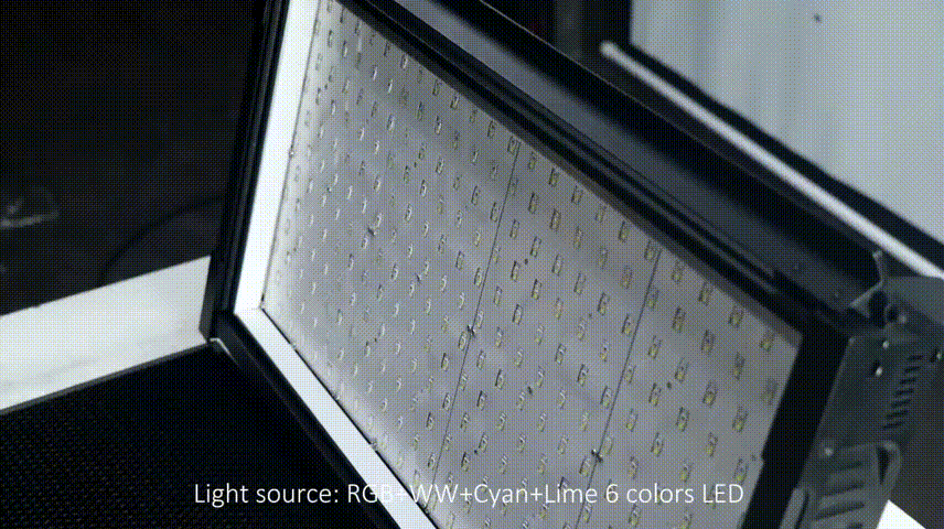 f2e97bf7-c4b4-4b9c-8d1c-b40c5639b9e5.gif